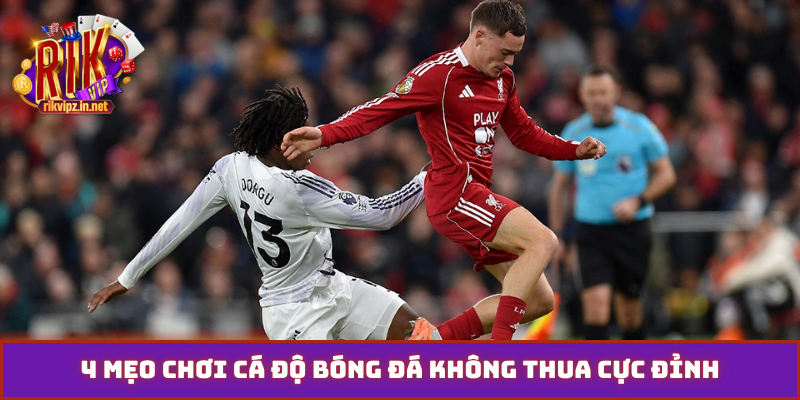 4 mẹo chơi cá độ bóng đá không thua cực đỉnh