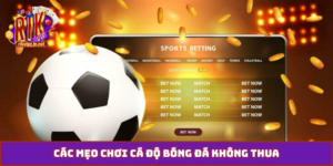 mẹo chơi cá độ bóng đá không thua