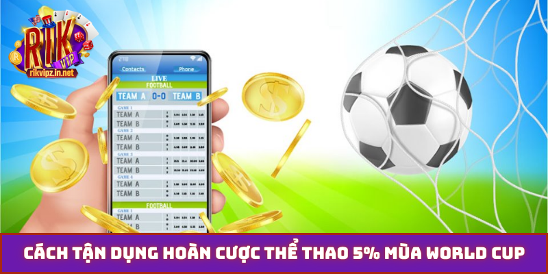 Cách tận dụng hoàn cược thể thao 5% mùa World Cup