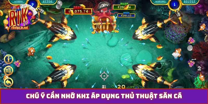 Chú ý cần nhớ khi áp dụng thủ thuật săn cá
